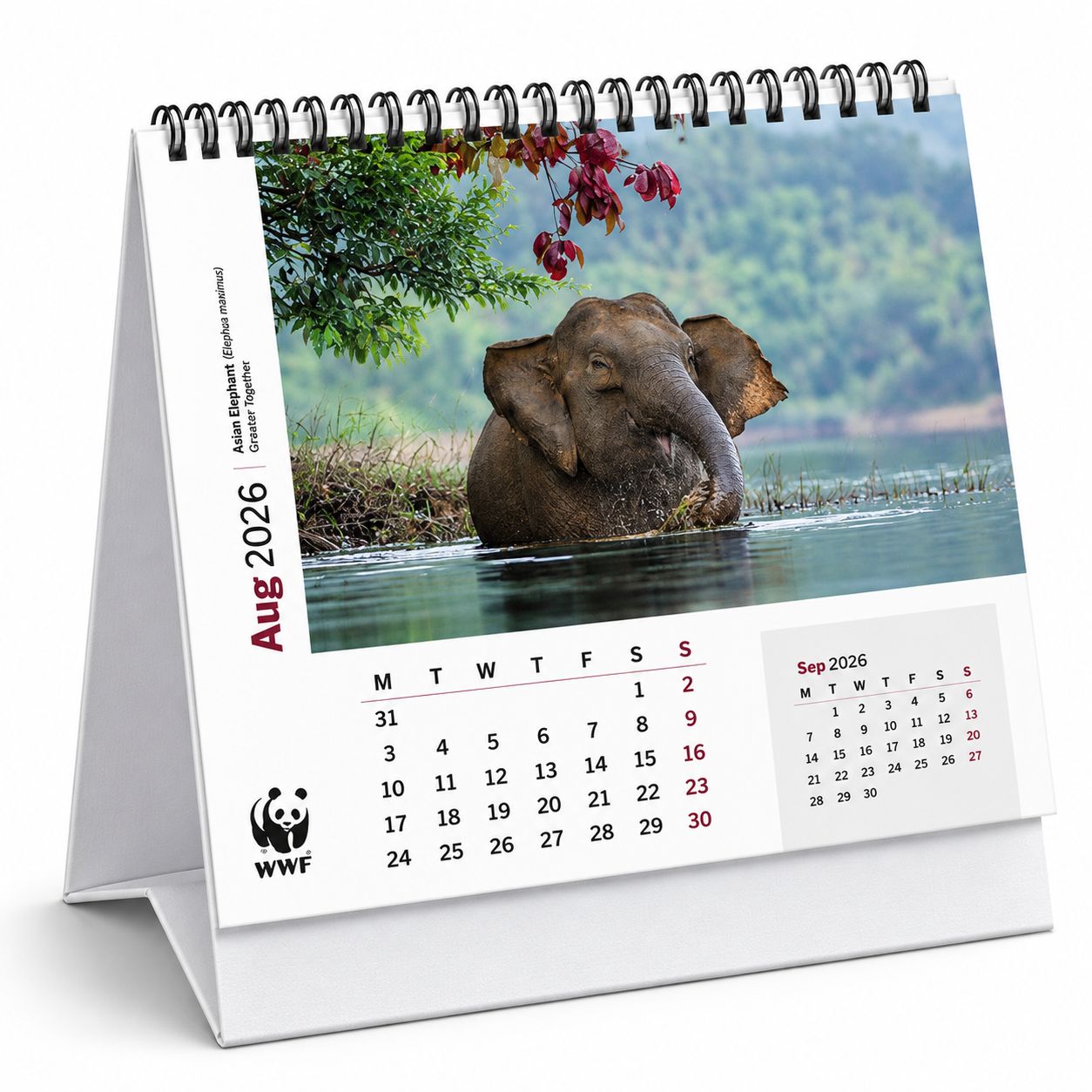 DESKTOP CALENDERS